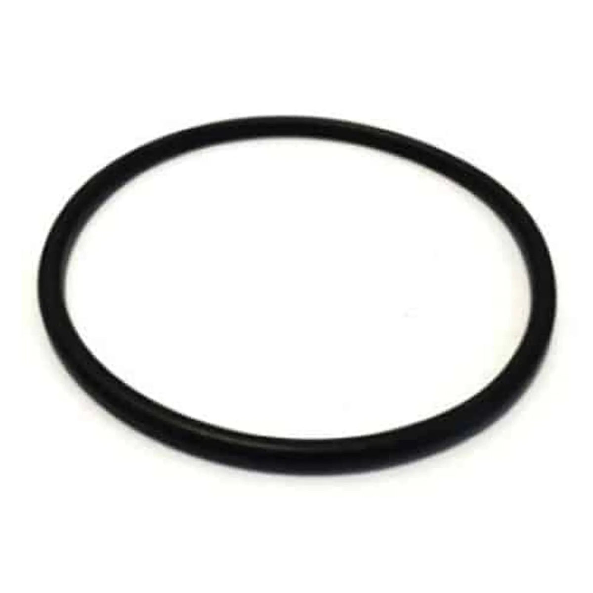 Ionic Systems Filter Housing O-Ring for 30 Inch Housings, OR01 (0R01)