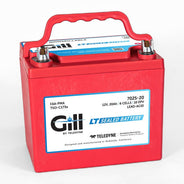 Gill 7025-20 LT Sealed Lead Acid Aircraft Battery, 12 Volt 20Ah