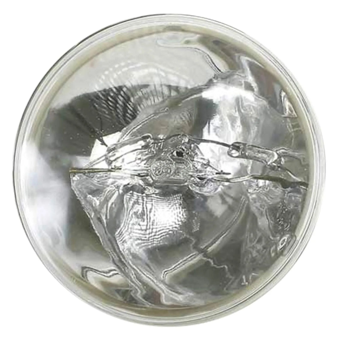 GE Lighting PAR64 Halogen Sealed Beam Landing Lamp, 28V 600W, Narrow Spot, Q4559X