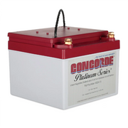 Concorde RG24-15 24 Volt 13.6AH Sealed Lead Acid Aircraft Battery
