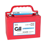 Gill 7035-28 LT Sealed Lead Acid Aircraft Battery, 12 Volt 28Ah